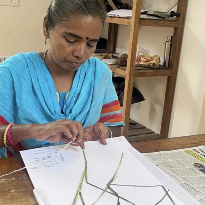 Herbarium
