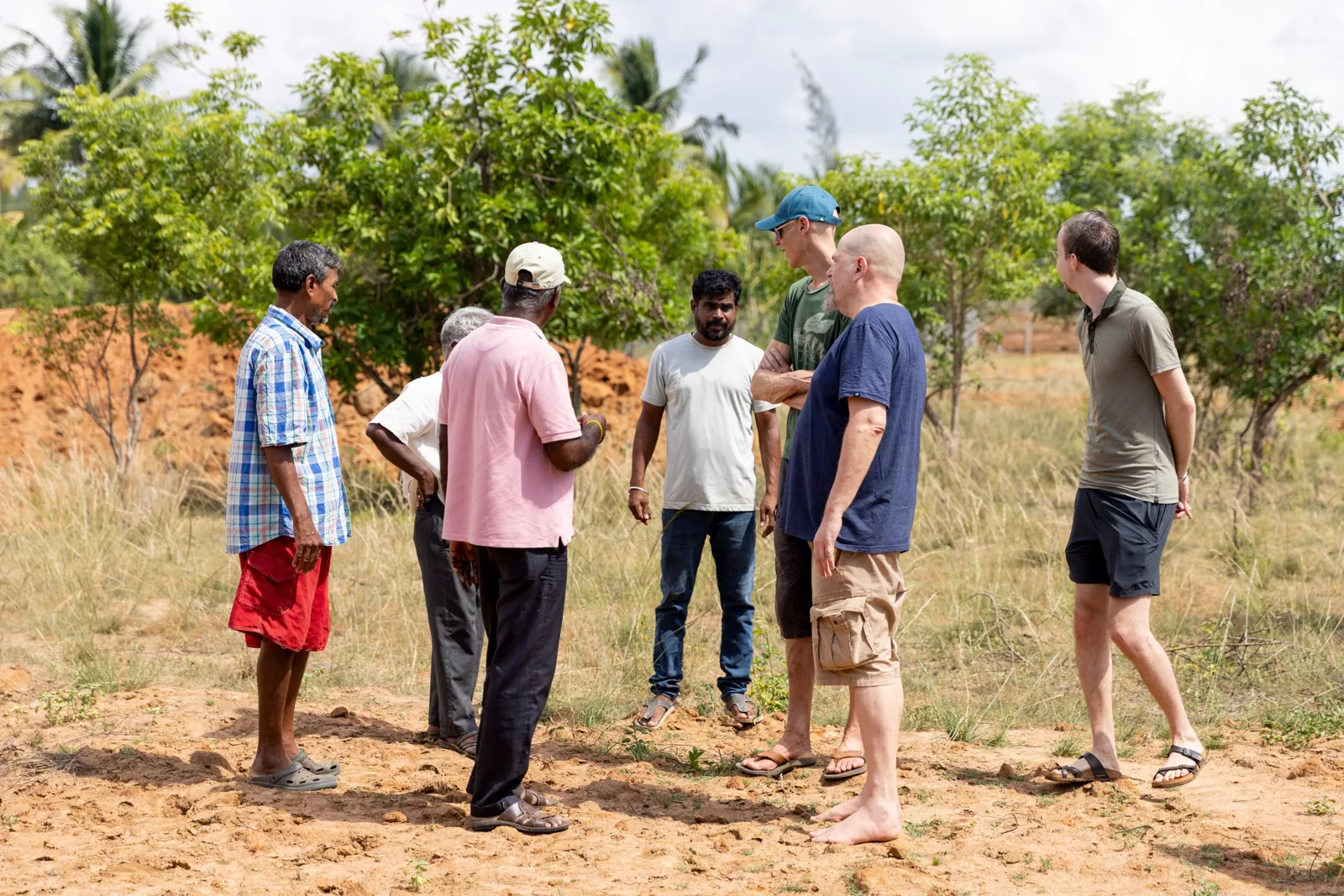 Visitors and the Sadhana Forest team talking among young trees