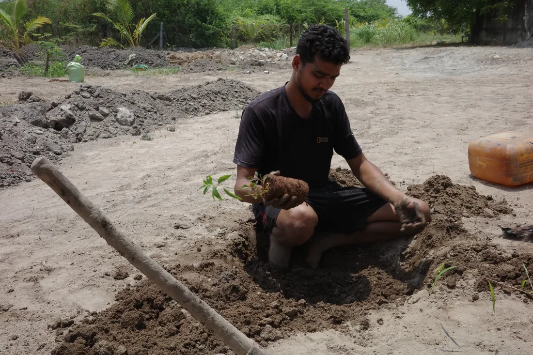 Naeem planting a sapling