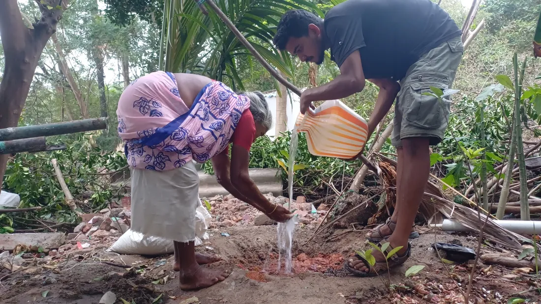 Watering a new tree with a neighbor