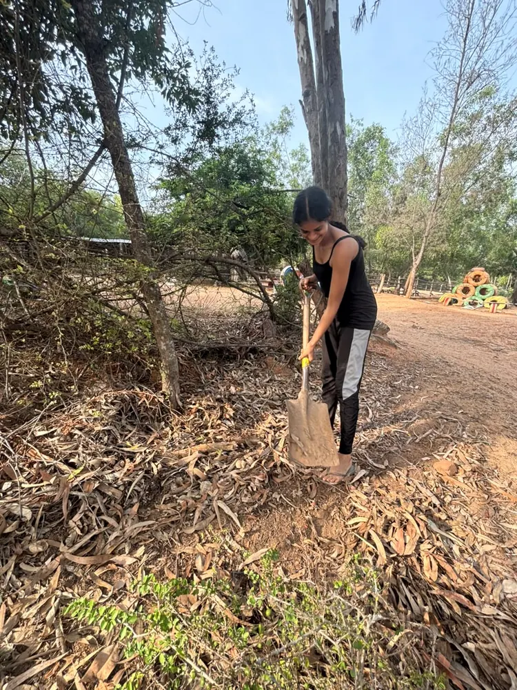 Nevish working on a forest path