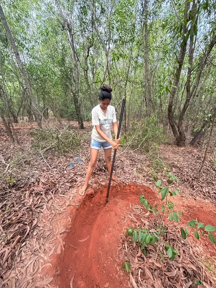 Nevish digging a planting pit in the forest