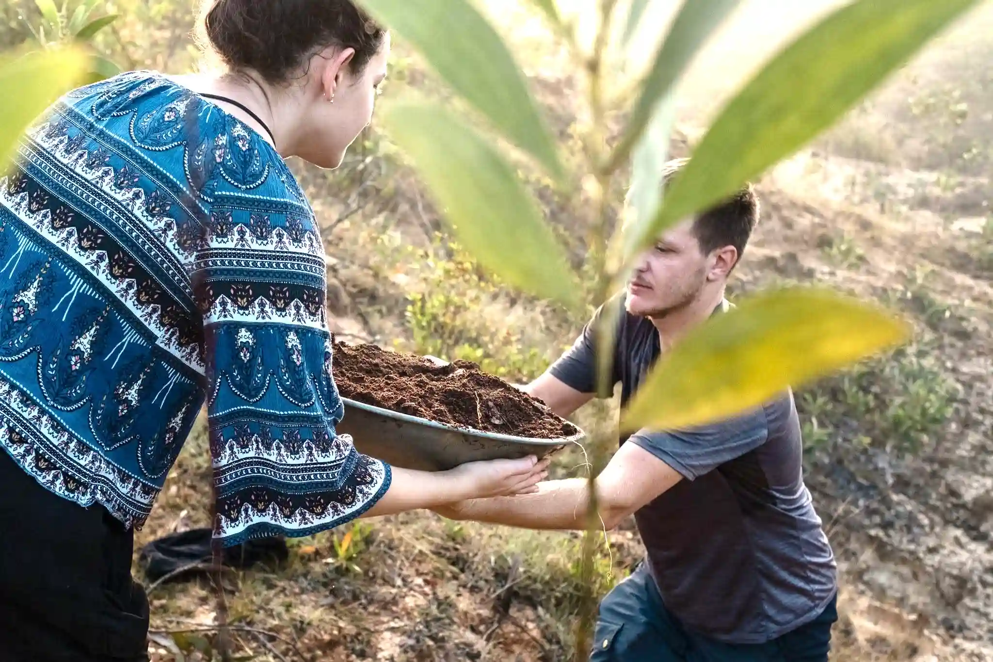 Sadhana Forest, international volunteers planting
