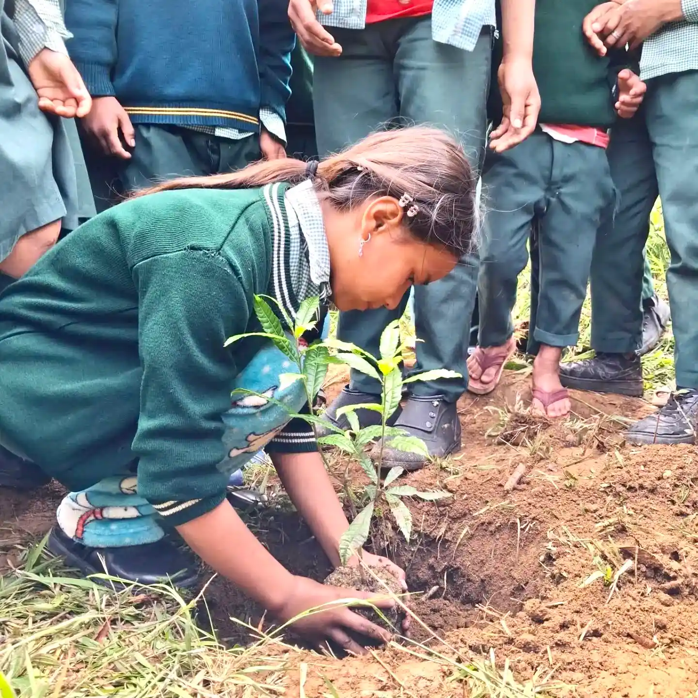 Sadhana Forest, local volunteers planting