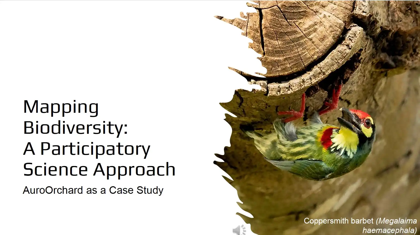 First slide of Mapping Biodiversity: A Participatory Science Approach